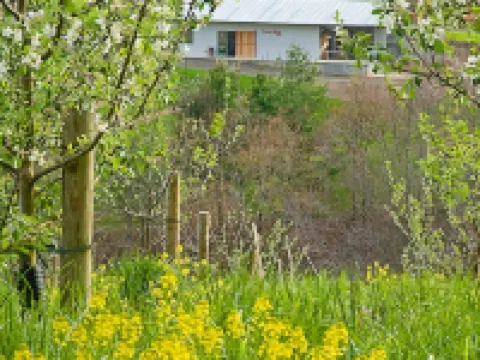Newly Renovated Former Cider House with outdoor covered patio and gas grill. Hotels in Laurel Fork