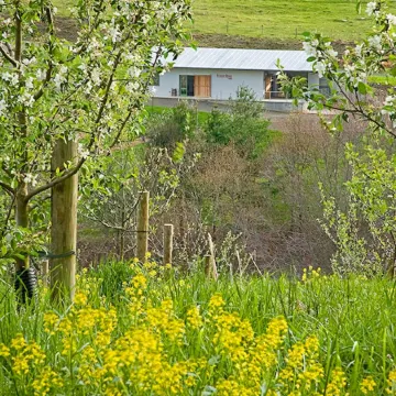 Newly Renovated Former Cider House with outdoor covered patio and gas grill.