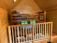 Emerald Forest Treehouse - From Treehouse Masters