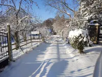 Holiday home alpaca view x1f999;