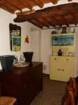 Nice small house with garden and breath-taking view over the Versilia Coast