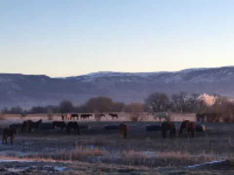 The Bunkhouse: Mountain views, solitude, close to  town and many western sights.