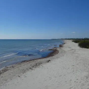 Ferienhaus Lachmöwe - Kleines, Modernes Haus, Idyllisch im Grünen Gelegen