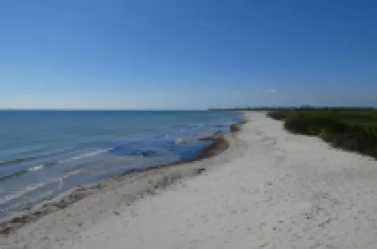 Ferienhaus Lachmöwe - Kleines, Modernes Haus, Idyllisch im Grünen Gelegen