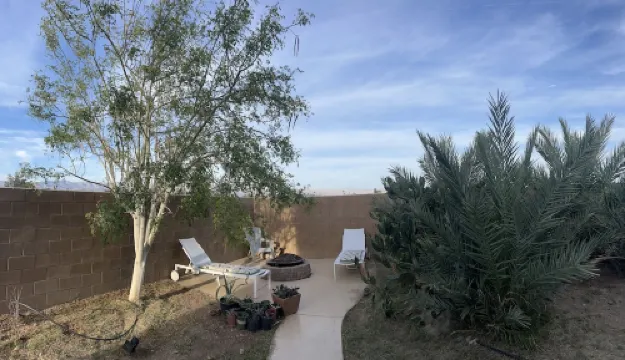 Paradise 4 BRM VIP DRIVING ACCESS Coachella Festival