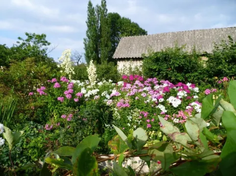 Ferienwohnung Unter den Linden - in Dobra