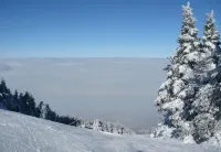 Ski, RIde, Walk On/Off Condo On Pico at Killington