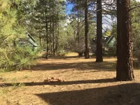 Big Bear Comfy Cozy Cabin