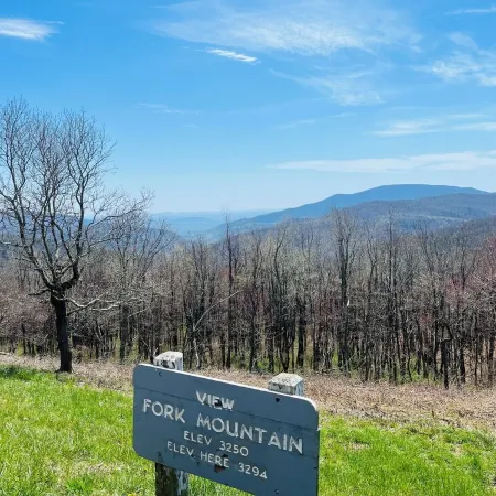 New Blue RIdge Mountains Montebello, Virginia with stary stary skies