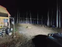 Primitive Cozy Tiny Cabin with Starlink Internet