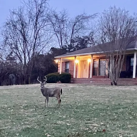 Hendersonville, TN, The Peaceful Retreat,Ping Pong & Pool Tables