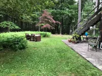 Enjoy the peace & quiet on 40 private acres of secluded forest. - 3 stjerner