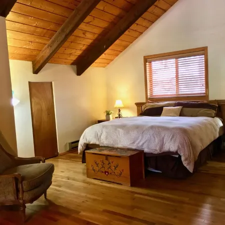 Log Cabin in tall pines, backs to forest, great hiking, star-gazing, biking!