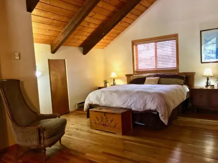 Log Cabin in tall pines, backs to forest, great hiking, star-gazing, biking!