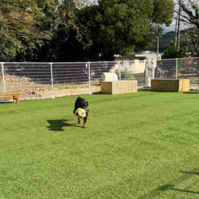 Animal Resort HARERUYA Hotel Exterior