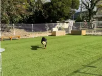 Ａｎｉｍａｌ　Ｒｅｓｏｒｔ　ＨＡＲＥＲＵＹＡ Hotels near Tsunoshima Island