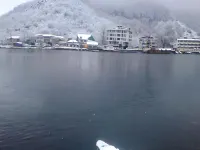 Hotel New Green View