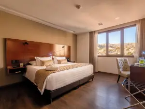 Hotel Mitru Sur