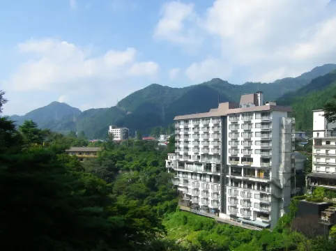 Hanasenkyo Onsen Hotel Kinugawa (Ryokan)