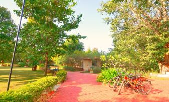 Bundela Bandhavgarh by Octave