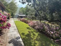 Spacious 4-bed home with king suites, near Riverbanks Zoo and downtown Columbia. Hotels near West Columbia Riverwalk Park and Amphitheater