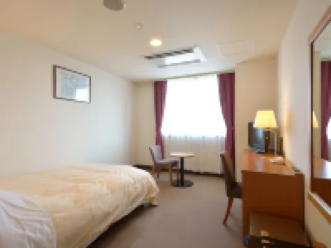 第二プリンスホテル 室蘭ビュー 室蘭のホテル