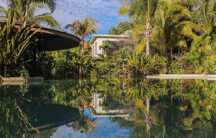 Soul Spring Sanctuary Cuernavaca