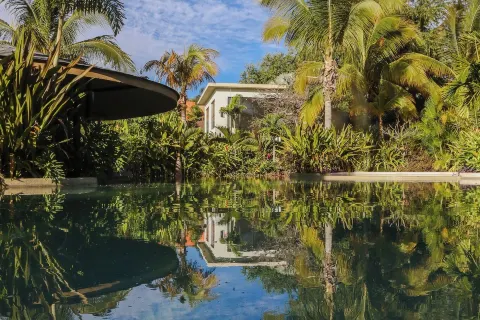 Soul Spring Sanctuary Cuernavaca