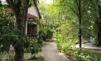 Bird of Paradise Bungalows