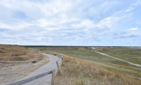Great Holiday Home Energy Neutral on Texel with Sauna and Sun Shower