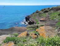 Ferienwohnung in Tonning