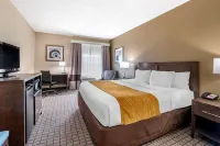 Comfort Inn & Suites - parking