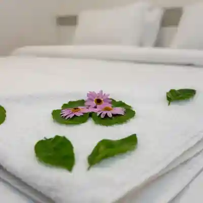 Mitos Apartments Rooms