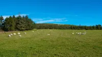 Wynford Holiday Cottages - 5-Star