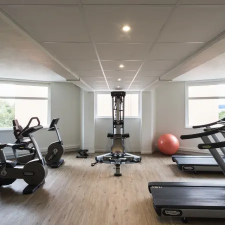 Ibis Styles Lyon Bron Eurexpo