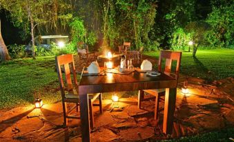 Primate Lodge