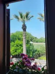 Casa Callinos - con vista montagne