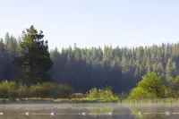 Lodge at the Lake near Pinecrest/Dodge Ridge WiFi
