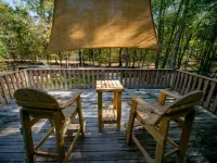 Big Cypress Lodge on Sante Fe River-Sleeps 14, Bring horses, RV and your boat!