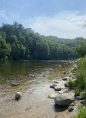 Fully Renovated Cabin - AC + Tippy Dam  - South Star by Janix Escapes.