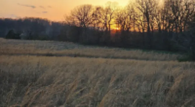 Doniphan/Current River 3br/2ba Rural Getaway 50 acre Ryan's Ranch