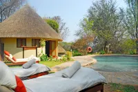 Divava Okavango Resort & Spa - Pools