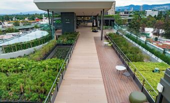 Galeria Plaza San Jeronimo