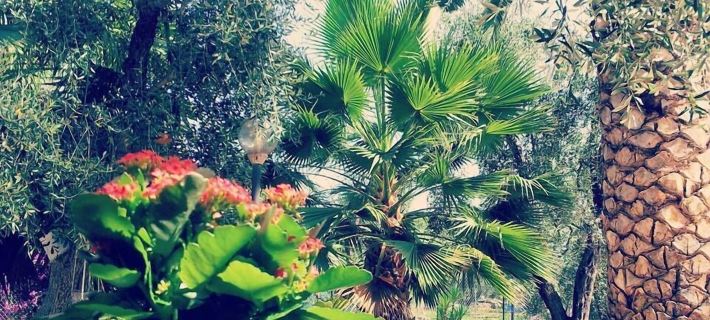 Villa Vale Mery Hotels in Vieste