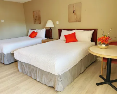 Slumber Lodge Hotels in Hope