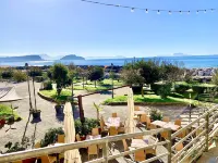 アルティス マーレ