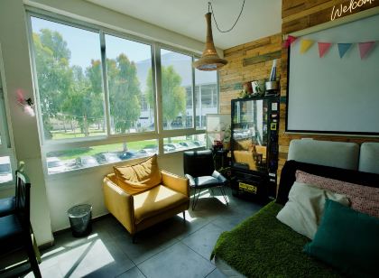 Jungle Jaffa Hostel Age 18 to 45