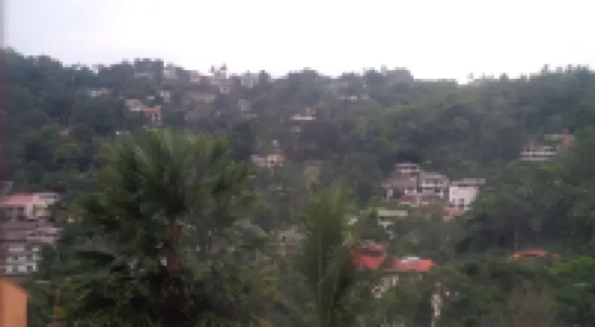 لا سيما كاندي