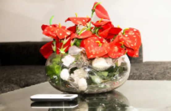 Residence Bethany Palace