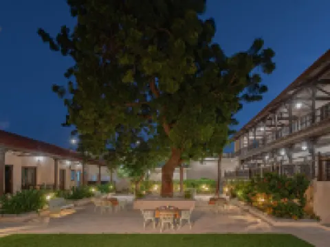 Tree of Life Darbargadh Dared Hotels in Bhavnagar